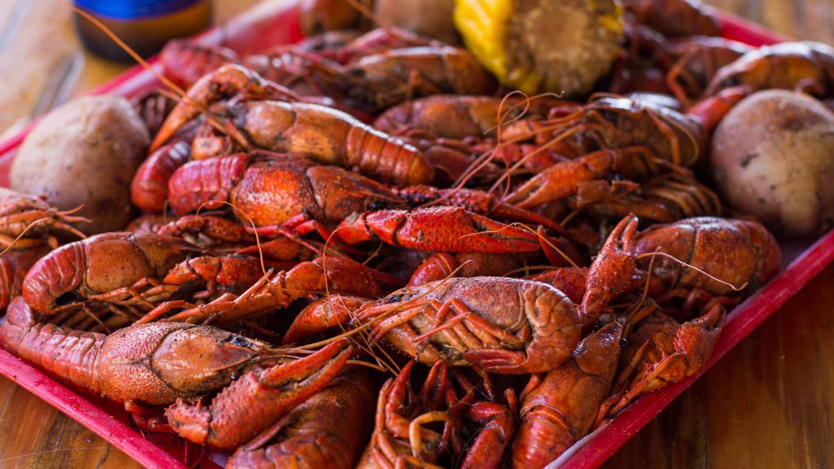 A red plate full of crawfish with several potatoes and a half cob of corn